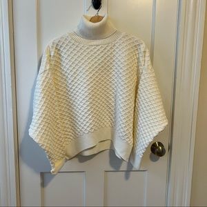 Topshop Turtleneck Sweater